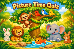 PICTURE TIME QUIZ